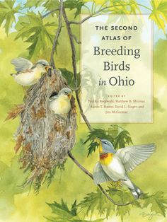 the second atlas of breeding birds in ohio, with an illustration of two birds sitting on a tree branch