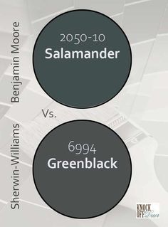 two black and white circles with the words salamander versus greenblack