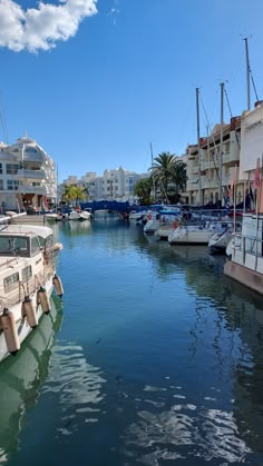 there are many boats that are docked in the water near buildings and palm trees on the other side of the river