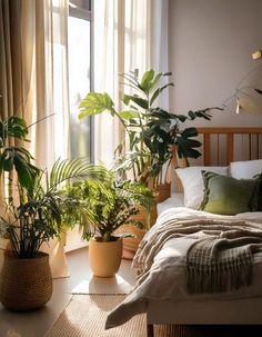 there are plants in the bedroom on the bed