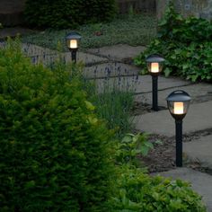 three lights are lit up in the middle of some plants and bushes, along side a stone path