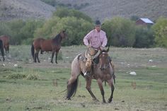 a man riding on the back of a brown horse in a field next to other horses