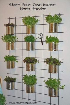 a wall mounted herb garden with scissors and plants