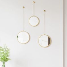 three circular mirrors hanging on the wall next to a potted plant in a white room