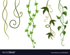 four vines with green leaves and swirls on the vine, isolated from white background