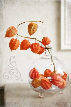 a glass vase filled with red leaves on top of a table