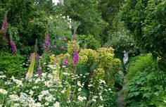 a garden filled with lots of different types of flowers