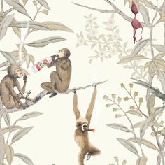 two monkeys sitting on top of branches with drinks in their hands and one monkey hanging upside down