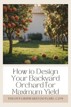 an apple orchard with the words how to design your backyard orchard for maximum yield on it