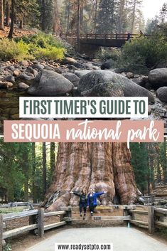 the first timer's guide to sequja national park in oregon with text overlay