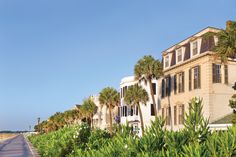 a row of houses on the beach with palm trees lining the street in front of them