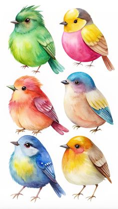 six colorful birds sitting on top of each other