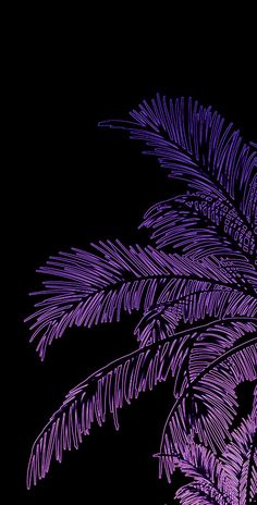 a purple palm tree branch on a black background