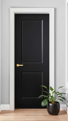 a black door in a white room with a potted plant on the floor next to it