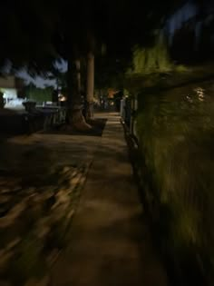 a blurry photo of a street at night with trees and benches in the foreground