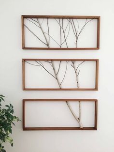 three wooden frames with branches in them on the wall next to a potted plant