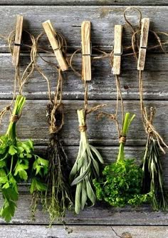 herbs are hanging on the wall and tied together