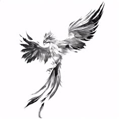 a black and white drawing of a bird with its wings spread out in the air