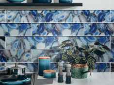 blue and white tile backsplash with potted plant on stovetop in kitchen