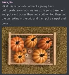 some pumpkins are in a wooden box on the grass and there is an article about them