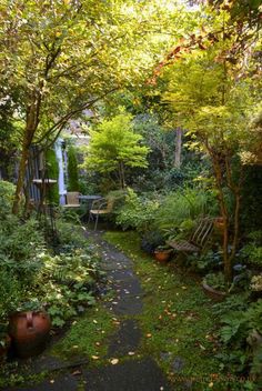 an outdoor garden with lots of trees and plants