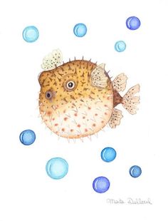 a drawing of a puffer fish in the water with bubbles on it's side