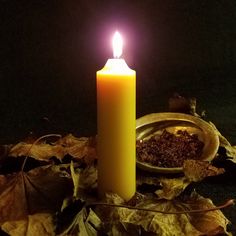 a lit candle sitting on top of leaves next to a plate with food in it