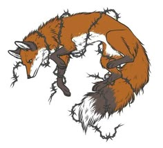 a drawing of a red fox curled up in barbed wire with its tail hanging down