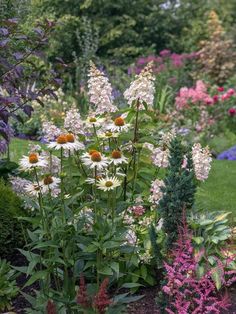 many different types of flowers in a garden