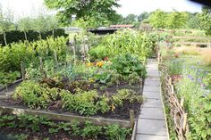 a garden filled with lots of different types of plants