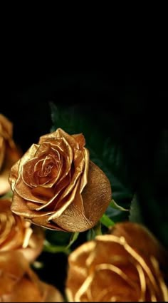 some very pretty gold colored roses with green leaves