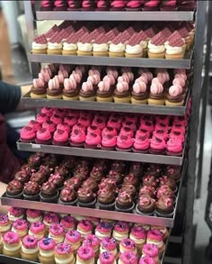 a display case filled with lots of pink and brown cupcakes on top of each other