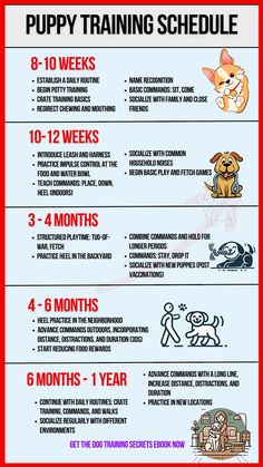 the puppy training schedule is shown with instructions for how to use it and what to do