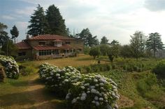 the house is surrounded by beautiful flowers and greenery in front of it, along with some trees