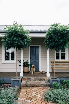 a dog standing in front of a house with two trees on either side of it