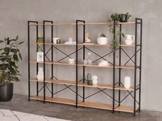 a shelving unit with plants and vases on the shelves in an empty room