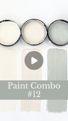 paint combs with the words paint combo on it and four different colors in each