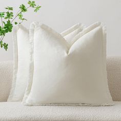 two white pillows sitting on top of a couch next to a potted green plant