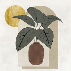 a plant with green leaves in a brown vase on a beige background and the moon behind it