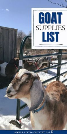 a goat standing next to a metal fence with a sign that says goat supplies list