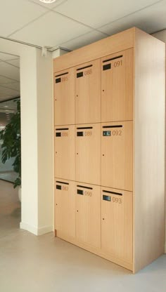 an empty room with many wooden lockers on the wall and a plant in the corner