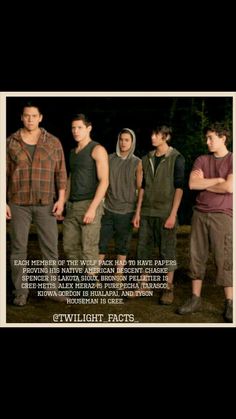 the twilight saga movie poster with several young men