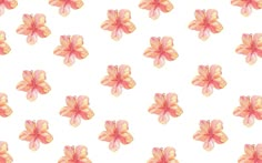 pink and yellow flowers on a white background with watercolor effect in the bottom right corner