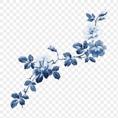 blue and white flowers on a branch with transparent background