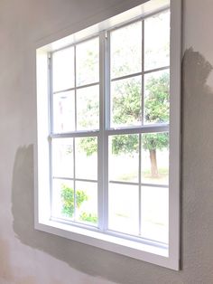 a cat sitting on the window sill in front of a white wall with a tree outside