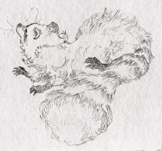 an ink drawing of a squirrel on its hind legs