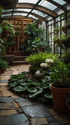 there are many potted plants in the room