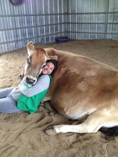 a woman is hugging a large cow in an enclosure