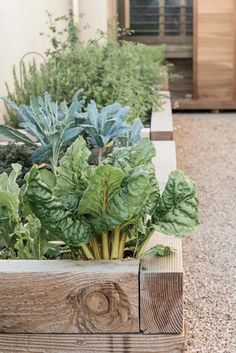 a wooden planter filled with lots of green plants