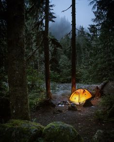 a tent pitched up in the woods at night